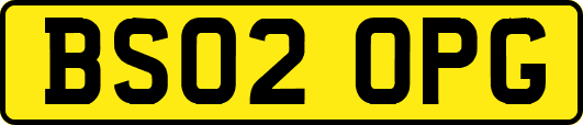 BS02OPG