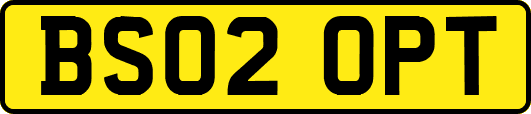 BS02OPT