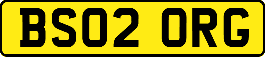 BS02ORG