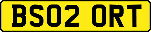 BS02ORT