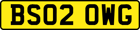 BS02OWG