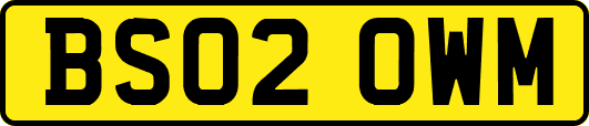 BS02OWM