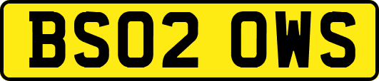 BS02OWS