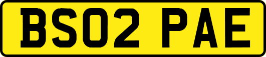BS02PAE