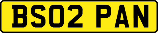 BS02PAN