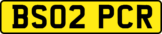 BS02PCR