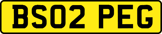 BS02PEG