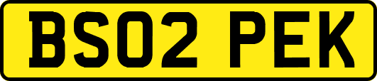 BS02PEK