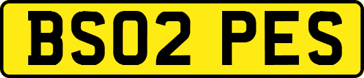 BS02PES