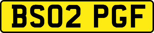 BS02PGF