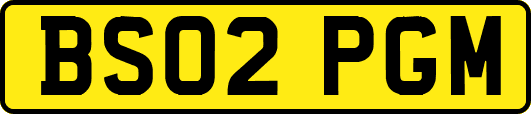 BS02PGM