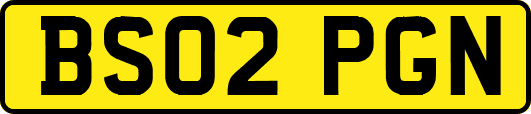 BS02PGN