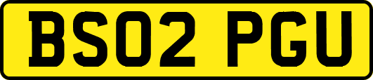 BS02PGU