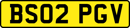 BS02PGV