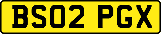 BS02PGX