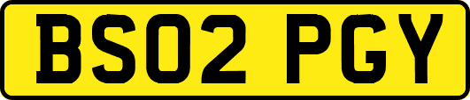 BS02PGY