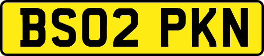 BS02PKN