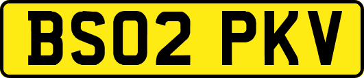 BS02PKV