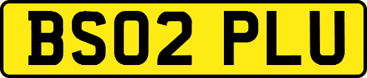 BS02PLU