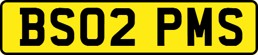 BS02PMS