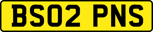 BS02PNS