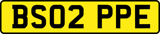 BS02PPE