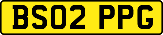 BS02PPG
