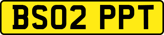 BS02PPT