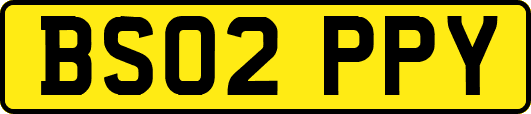 BS02PPY