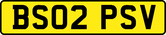 BS02PSV