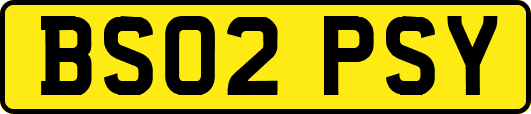 BS02PSY