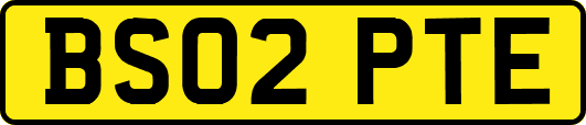 BS02PTE