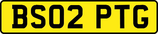 BS02PTG