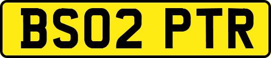 BS02PTR