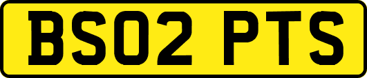 BS02PTS