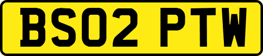 BS02PTW