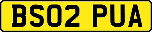 BS02PUA