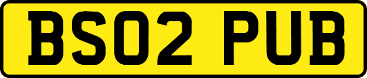 BS02PUB