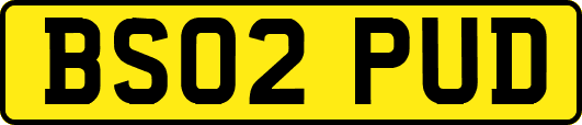 BS02PUD