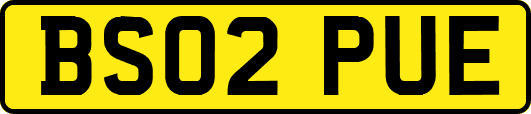 BS02PUE