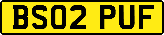 BS02PUF