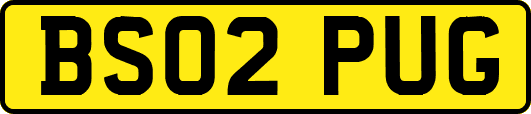 BS02PUG
