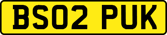 BS02PUK