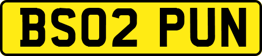 BS02PUN