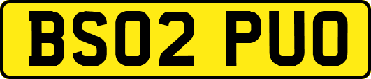BS02PUO