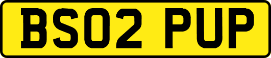 BS02PUP