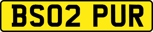 BS02PUR