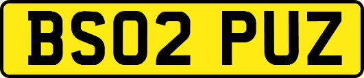 BS02PUZ