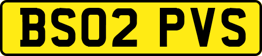 BS02PVS