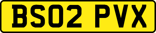 BS02PVX